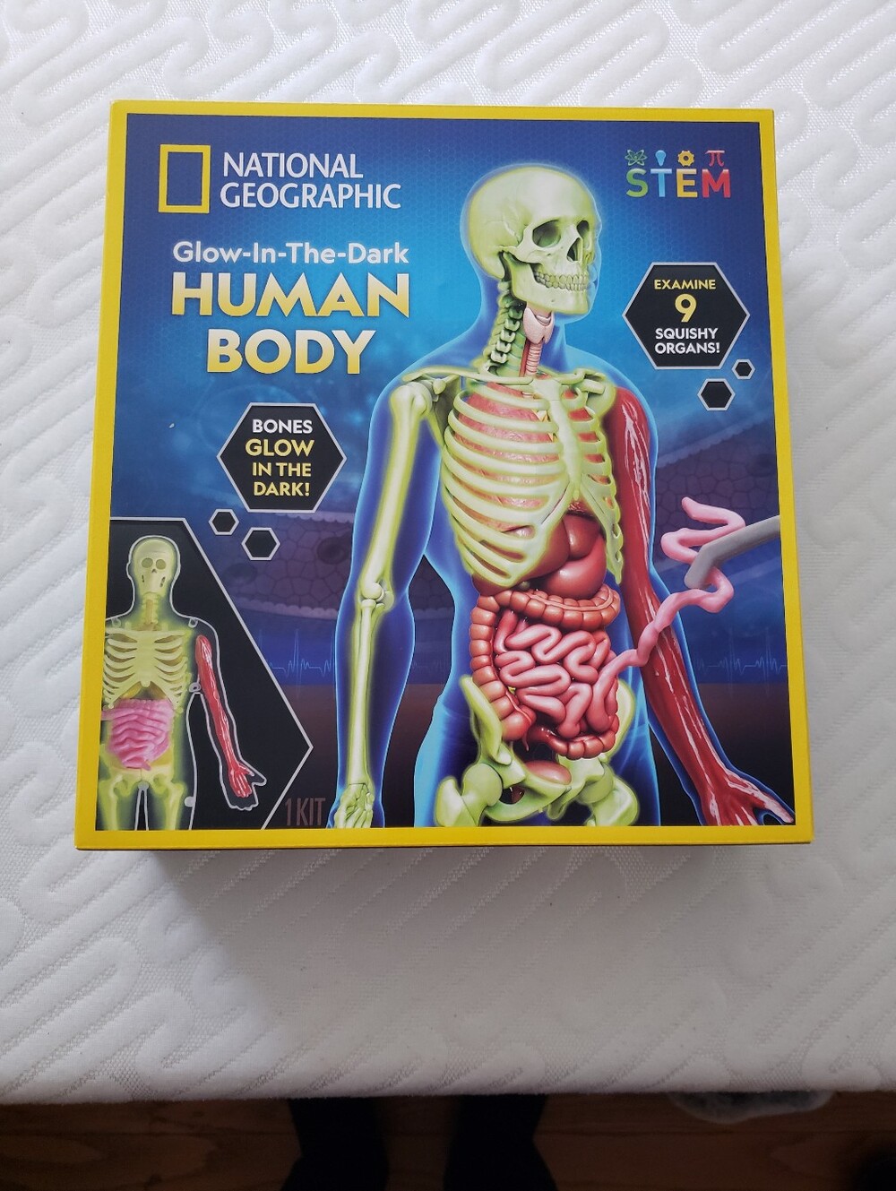 🧪 National Geographic Human Body Kit 💀